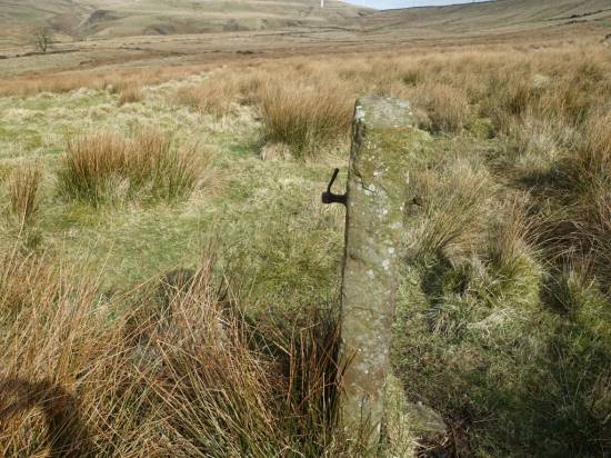 A well weathered gate post
