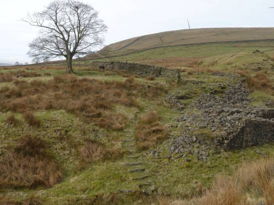The long disused flight of stone steps were used to cross the brook below

