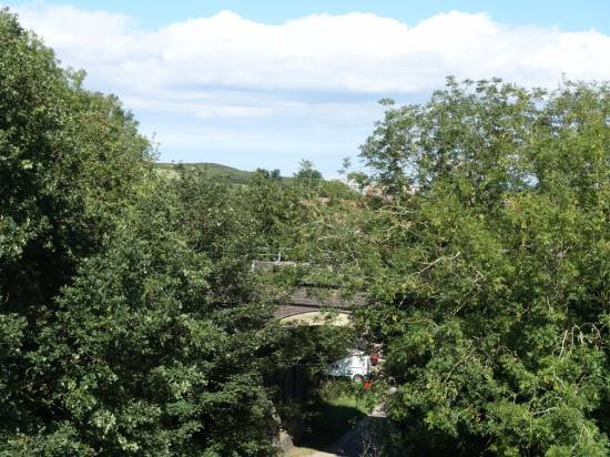 The active line crosses the lower viaduct just visible through the trees
