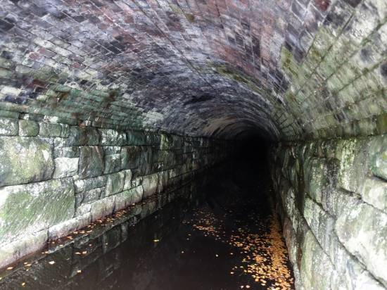 Looking into the canal tunnel
