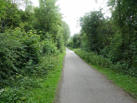 The trackbed of the Midland Railway's Stanton and Shipley branch has been turned into cycle route 67
