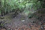 11_There_s_even_the_remains_of_a_much_older_track_in_the_woodland_alongside~0.JPG