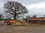 1_Welcome_to_Brafield_-_The_faithful_oak_tree_keeps_a_watchful_eye_on_the_latest_alterations.JPG