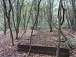 47_Some_abandoned_coal_tubs_in_the_woods.JPG