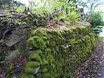 6_A_moss_covered_drystone_wall_is_a_good_indication_of_the_purity_of_the_air.JPG