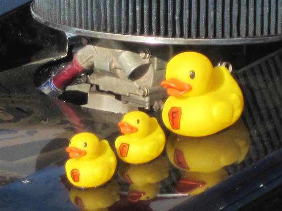 434, 3 little FWJ supporting duckies on Ivan's car.
