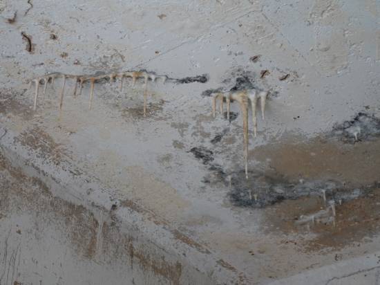 Concrete stalactites are forming on the ceiling. The calcium compound has broken down and started to leach through.
